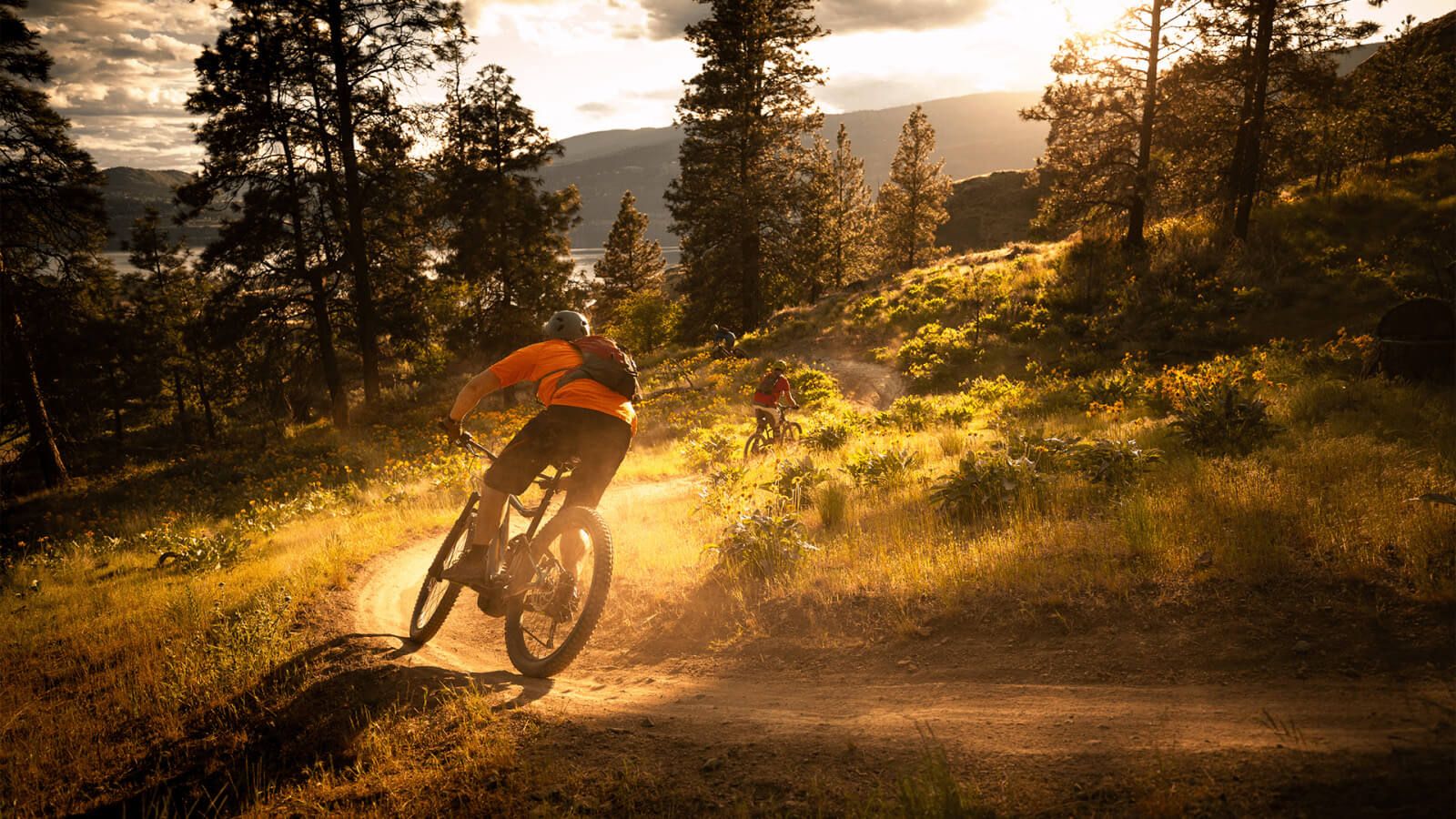 Sports insurance